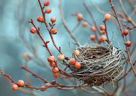 C’est la plume !