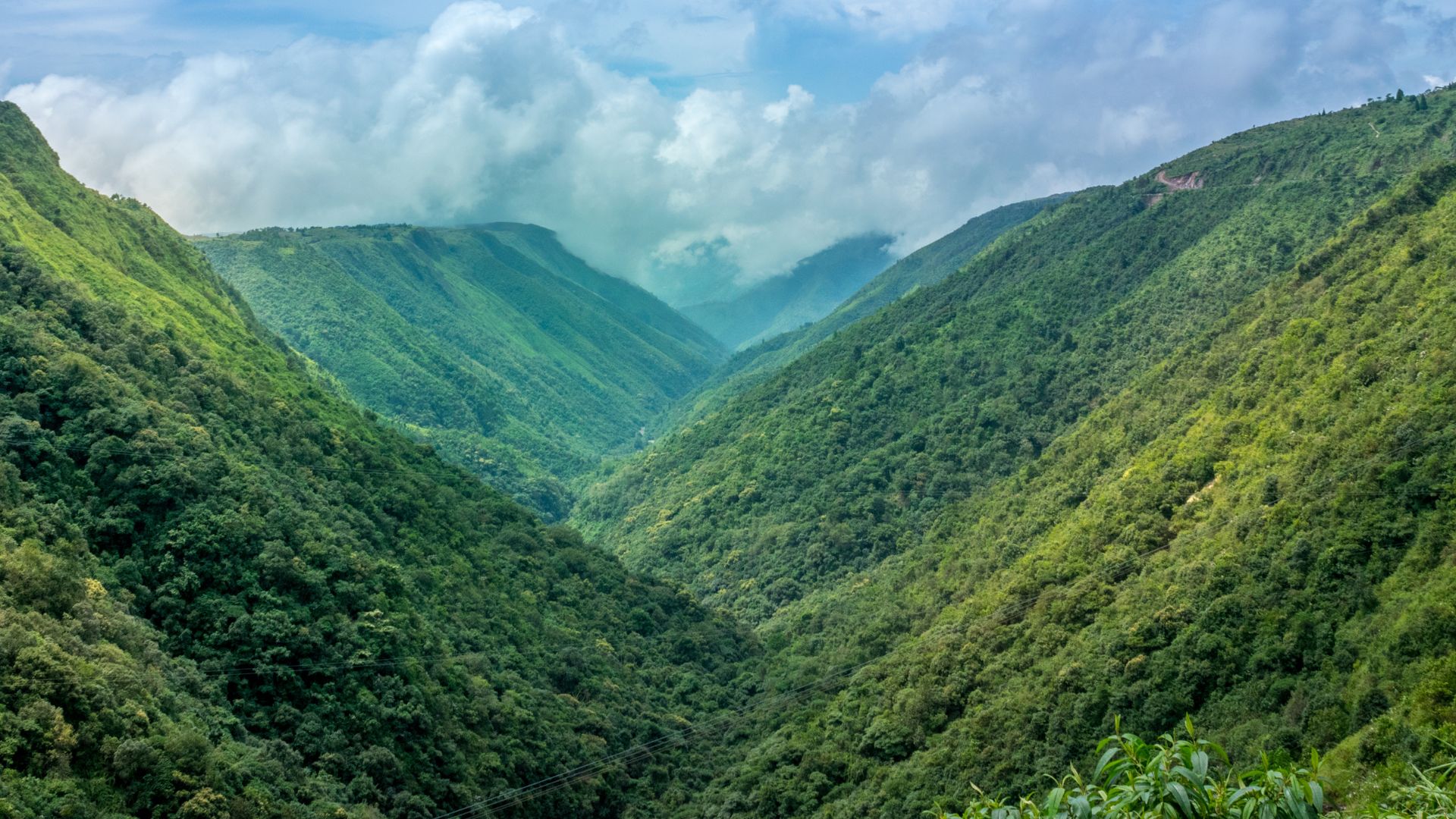 Un écho mélodieux de Sa Présence dans la nature