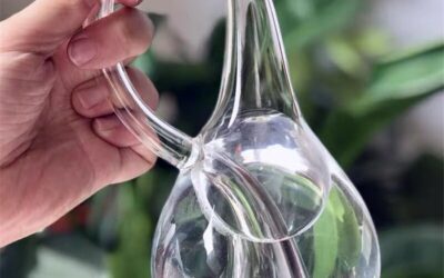 Le Vase où Dieu a versé l’Infini