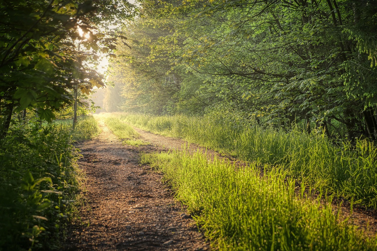 Un chemin de cohérence