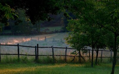 «Ton Dieu est au milieu de toi » (Sophonie 3:17)