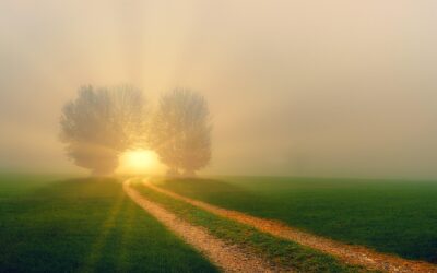 Et si on s’intéressait au mot « conversion » ?