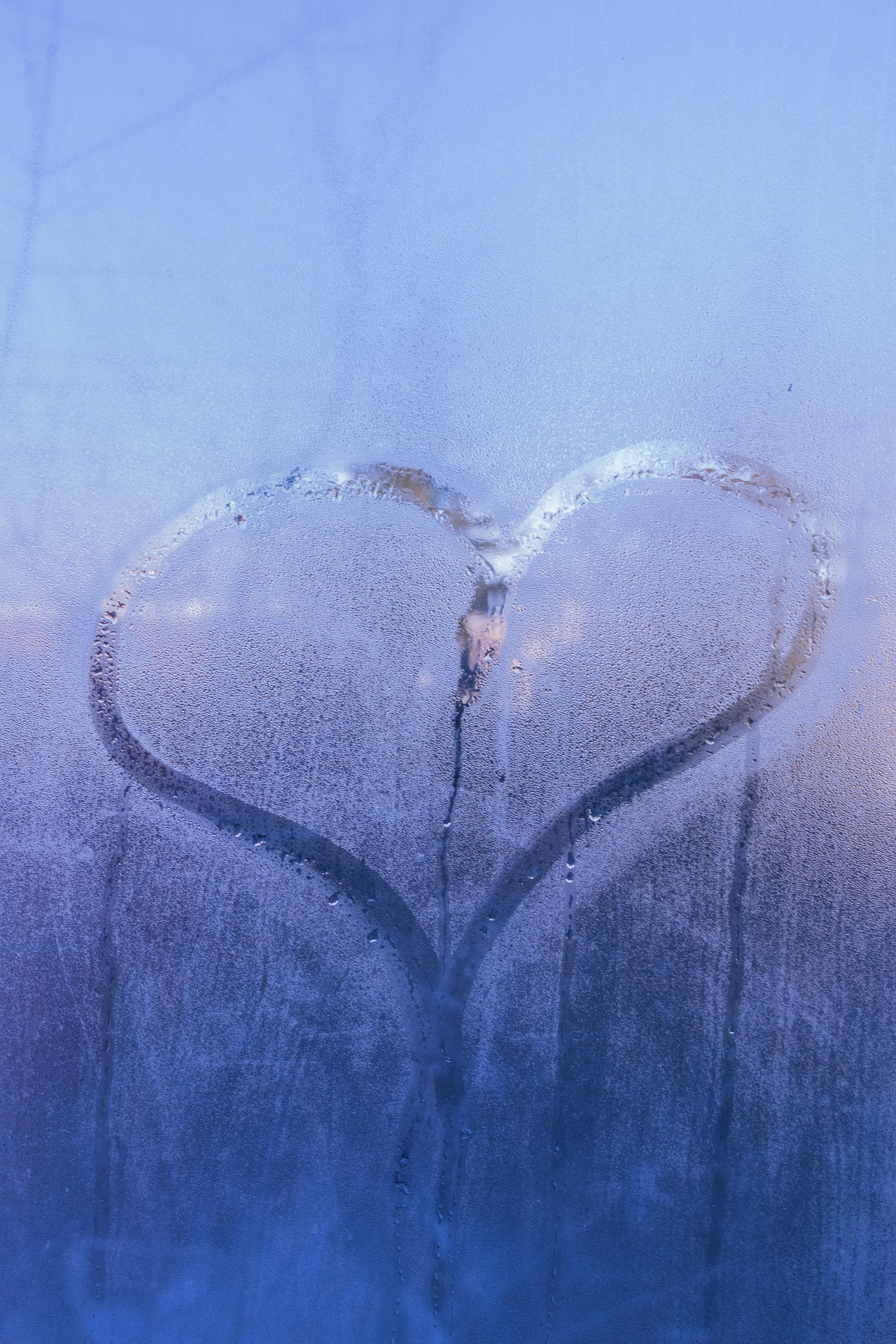 L&rsquo;amour injuste